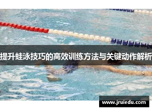 提升蛙泳技巧的高效训练方法与关键动作解析