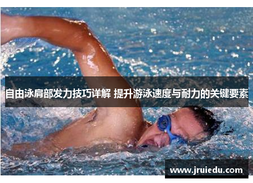 自由泳肩部发力技巧详解 提升游泳速度与耐力的关键要素