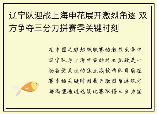 辽宁队迎战上海申花展开激烈角逐 双方争夺三分力拼赛季关键时刻